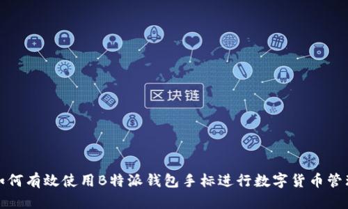 如何有效使用B特派钱包手标进行数字货币管理