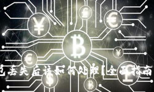 :比特派钱包丢失后该如何处理？全面指南与解决方案