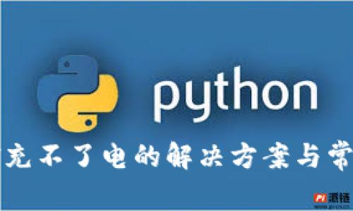 比特派刀锋充不了电的解决方案与常见问题解析