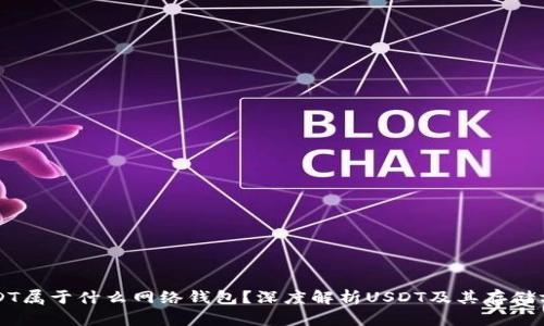 USDT属于什么网络钱包？深度解析USDT及其存储方式