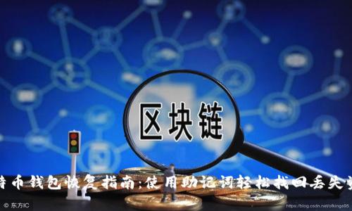 比特币钱包恢复指南：使用助记词轻松找回丢失资金