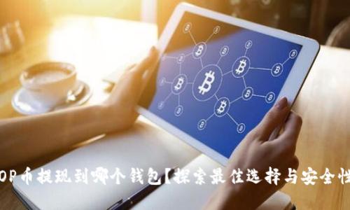 OP币提现到哪个钱包？探索最佳选择与安全性