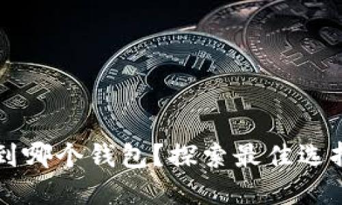 OP币提现到哪个钱包？探索最佳选择与安全性