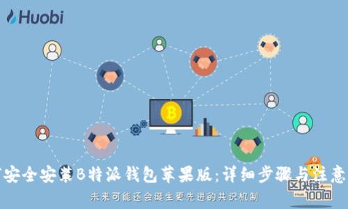 如何安全安装B特派钱包苹果版：详细步骤与注意事项