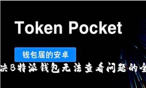 如何解决B特派钱包无法查看问题的全面指南