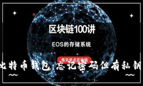  如何恢复比特币钱包：忘记密码但有私钥的解决方案