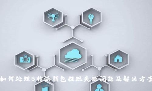 如何处理B特派钱包提现失败问题及解决方案