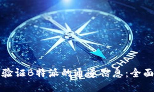如何验证B特派的通道信息：全面指南