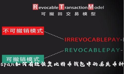 span如何有效恢复比特币钱包中的丢失币种