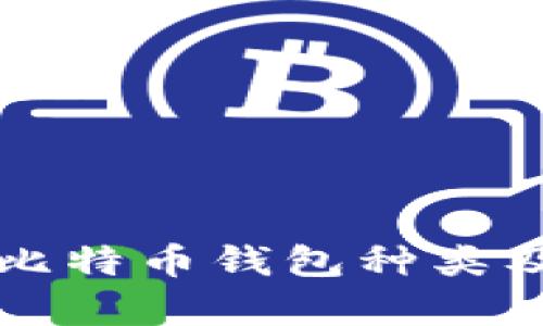 全面解析比特币钱包种类及其优缺点
