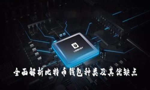 全面解析比特币钱包种类及其优缺点