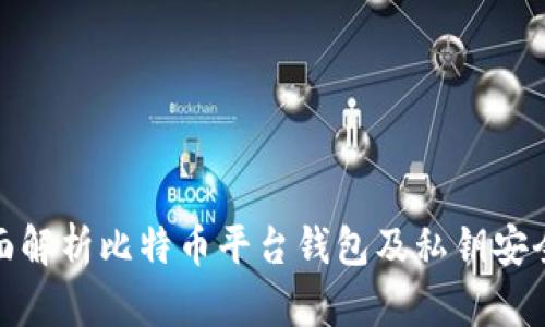 全面解析比特币平台钱包及私钥安全性