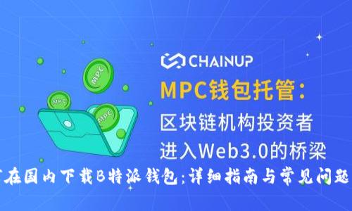如何在国内下载B特派钱包：详细指南与常见问题解答
