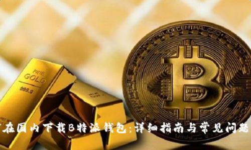 如何在国内下载B特派钱包：详细指南与常见问题解答