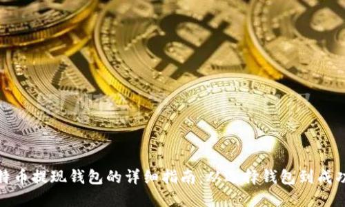 : 比特币提现钱包的详细指南：从选择钱包到成功提取