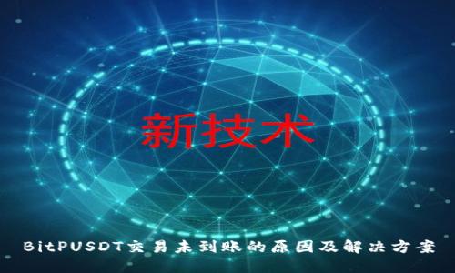 BitPUSDT交易未到账的原因及解决方案