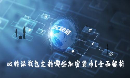 比特派钱包支持哪些加密货币？全面解析
