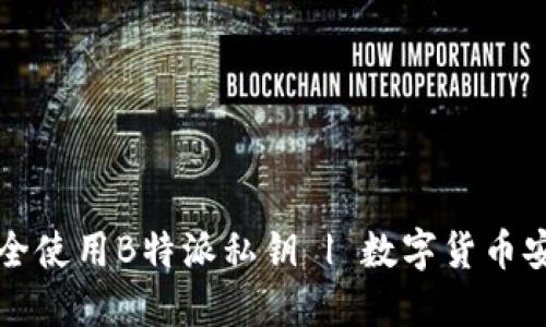 如何安全使用B特派私钥 | 数字货币安全指南