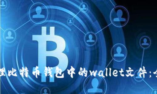 如何管理比特币钱包中的wallet文件：全面指南