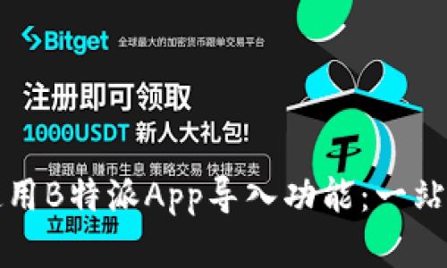 如何高效使用B特派App导入功能：一站式解决方案