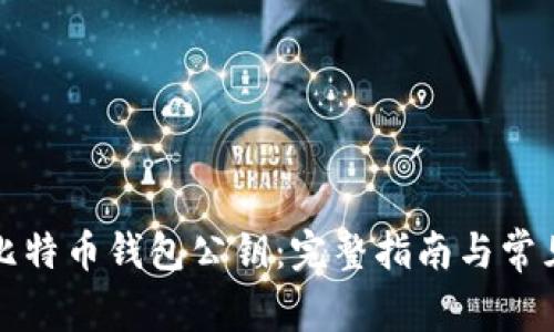 如何查询比特币钱包公钥：完整指南与常见问题解答