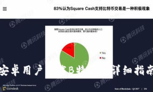 安卓用户下载B特派的详细指南