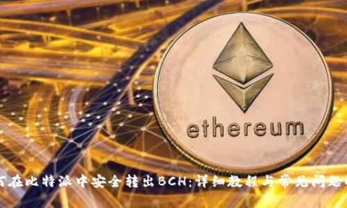 如何在比特派中安全转出BCH：详细教程与常见问题解析