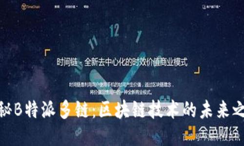 探秘B特派多链：区块链技术的未来之路