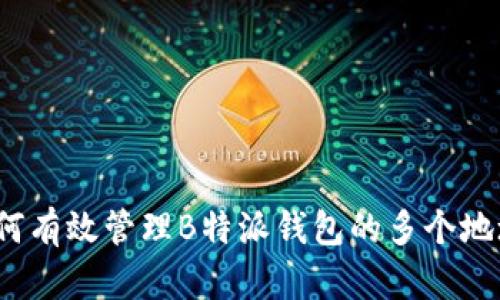 如何有效管理B特派钱包的多个地址？