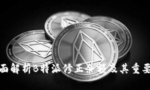全面解析B特派修正余额及其重要性