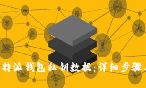 如何导入B特派钱包私钥数据：详细步骤与注意事项