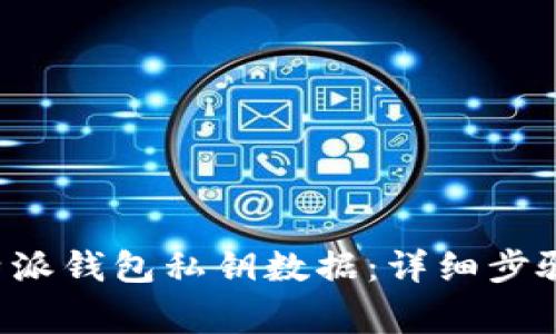 如何导入B特派钱包私钥数据：详细步骤与注意事项