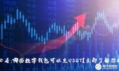 2025必看：哪些数字钱包可以充USDT？立即了解你的