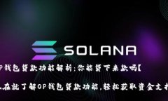 OP钱包贷款功能解析：你能贷下来款吗？现在就了