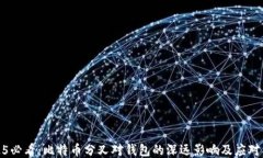 2025必看：比特币分叉对钱包的深远影响及应对策