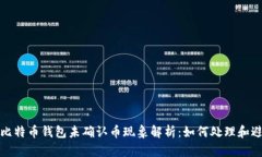 2023年比特币钱包未确认币现象解析：如何处理和