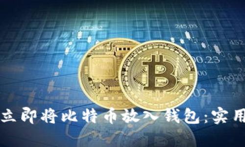 如何立即将比特币放入钱包：实用指南