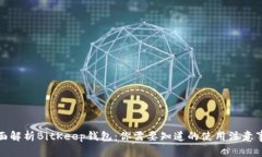 全面解析BitKeep钱包：你需要知道的使用注意事项