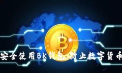 如何安全使用BK钱包，防止数字货币被盗