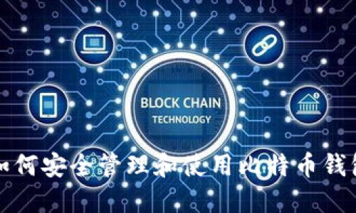 如何安全管理和使用比特币钱包