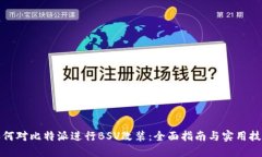 如何对比特派进行BSV改装：全面指南与实用技巧