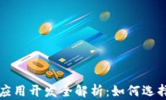 比特币钱包手机应用开发全解析：如何选择与使