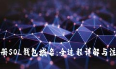 优质如何注册SOL钱包域名：全过程详解与注意事